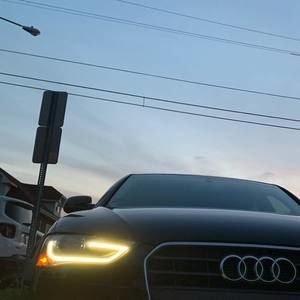 Meet your Posher, Bernardo